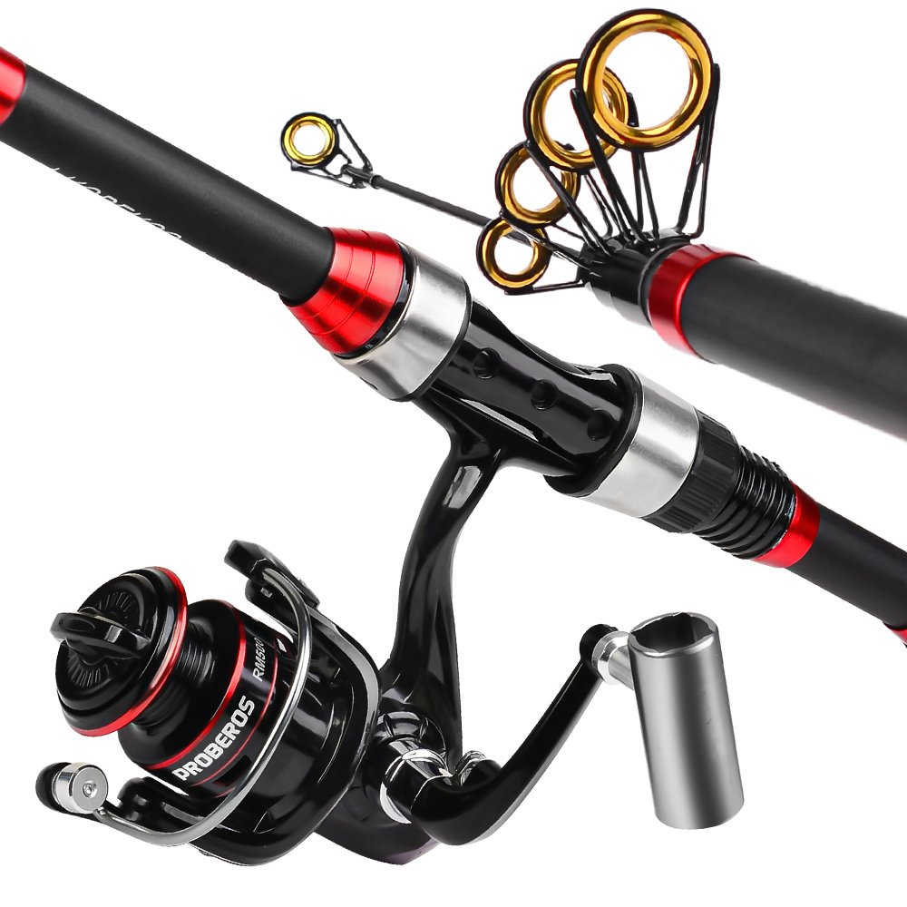 Ensemble de cannes à pêche Pro - Fishing Equipment Online avis et prix